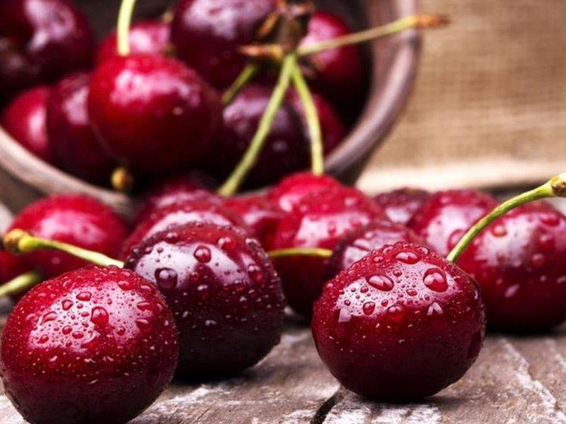 Вишня купить саженцы из питомника в Зеленогорске
